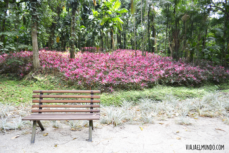 Un cuadro vivo en el Parque de la Flora Exótica Tropical