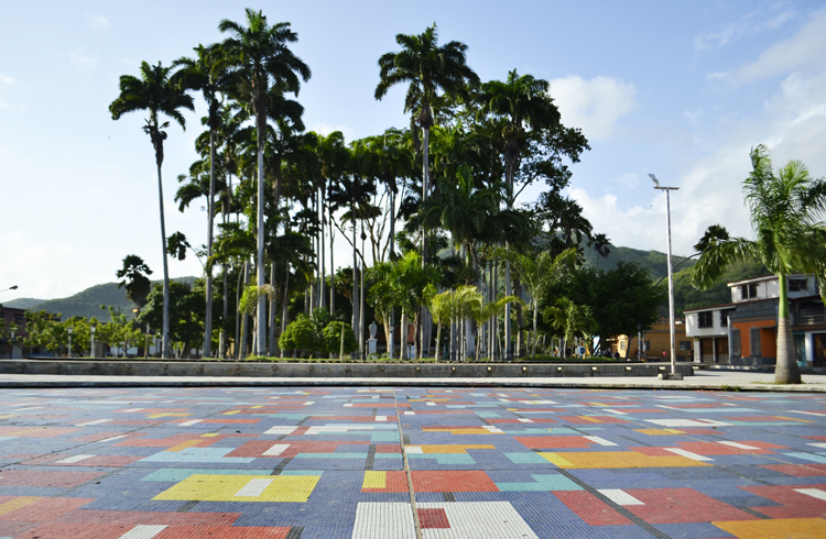 Sí, este es el Jardín de Calas que llena de colores a Río Caribe